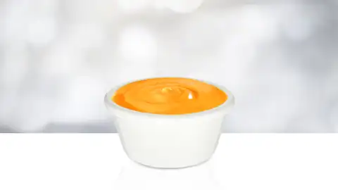 PARA ACOMPANAR 5 SALSA DE QUESO 3 OZ